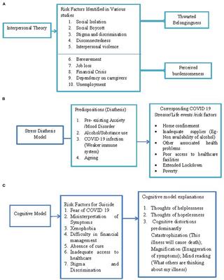 Theoretical Mapping of Suicidal Risk Factors During the COVID-19 Pandemic: A Mini-Review